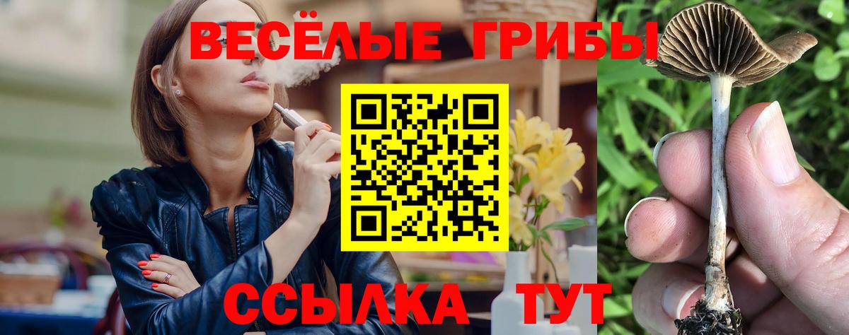 Галлюциногенные грибы Psilocybine cubensis Ирбит