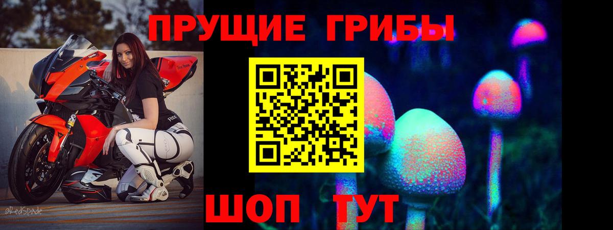 Ирбит  купить наркотик  Вход с VPN  Галлюциногенные грибы прущие грибы 